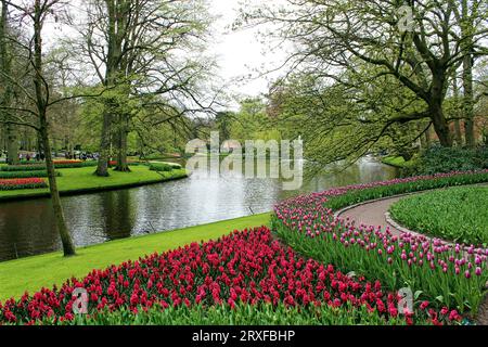 Keukenhof, Paesi Bassi. Splendida vista sul più famoso giardino botanico olandese in primavera. Foto Stock