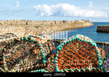 Gli aragosta si sono arenati di fronte al porto di St Andrews, Fife, Scozia Foto Stock