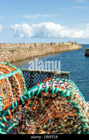 Gli aragosta si sono arenati di fronte al porto di St Andrews, Fife, Scozia Foto Stock