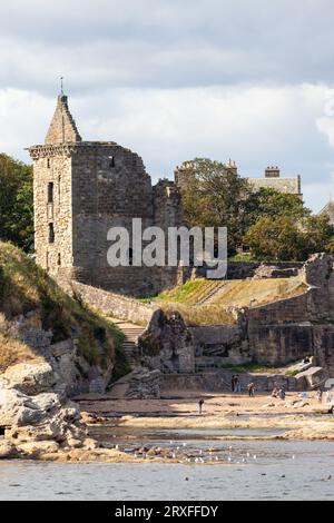 Rovine del castello di St Andrews a Fife, Scozia Foto Stock