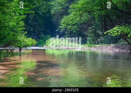 Riflessi nel fiume Davidson, lungo la North Carolina Scenic Byway/Highway 276, nella Pisgah National Forest. Foto Stock