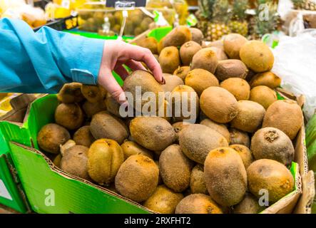 Una donna prende una mano kiwi. Sceglie, compra frutta al supermercato Foto Stock