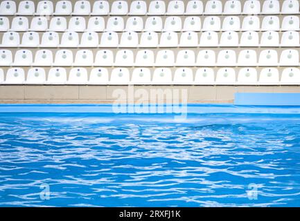 In piedi. posti a sedere bianchi nella piscina sportiva. Tribune di tifosi al campo sportivo. vista frontale Foto Stock