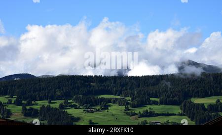 Grandi e vaste foreste dell'alto Adige, questa si trova nella Val Pusteria. Decine di migliaia di alberi rendono il paesaggio bucolico Foto Stock