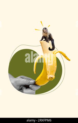 Immagine di collage verticale di una graziosa mini scimmia seduto a un grande braccio con effetto bianco-nero tiene la banana frutta isolata su sfondo dipinto Foto Stock