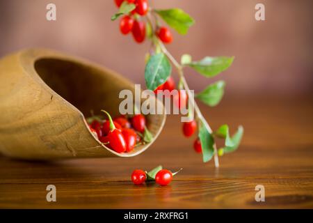 Ramo con bacca di goji rossa matura su un tavolo di legno marrone Foto Stock
