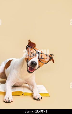 Divertente cane ridere Jack russell terrier con occhiali sdraiati con il libro, leggendo e studiando su un sfondo beige, libro sui cani, conoscenza del cane Foto Stock