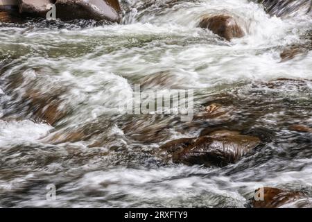 Veloce che scorre corrente sul piccolo fiume (vicino a Townsend) nel Parco Nazionale di Great Smoky Mountains nel Tennessee. Foto Stock