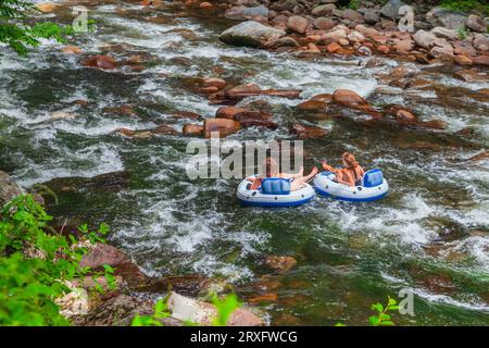 I turisti "tubing" nella corrente fluida sul Little River (vicino a Townsend) nel Great Smoky Mountains National Park nel Tennessee. Foto Stock