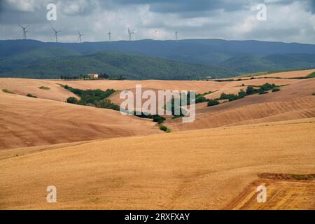 Paesaggio rurale sulle colline di Orciano Pisano, provincia di Pisa, Toscana, Italia d'estate Foto Stock