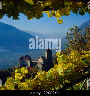 Castello Tirolo vicino a Merano in autunno con vista sulla Val Venosta, alto Adige, Italia Foto Stock