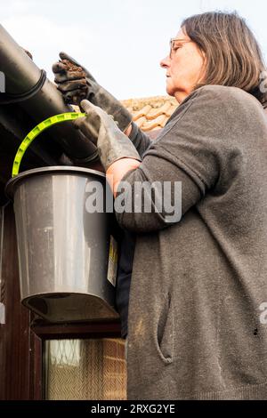 Donna che ripulisce il muschio dalla fossa. Foto Stock