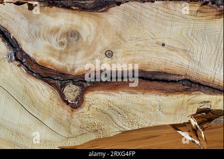 Tavola di legno con nodi in una segheria, Allgaeu, Baviera, Germania Foto Stock