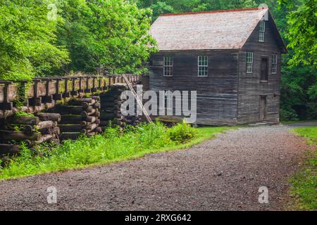 Mingus Mill nel Great Smoky Mountains National Park nel North Carolina. Questo mulino a turbina del 1886 trita il mais in farina e il grano in farina. Foto Stock