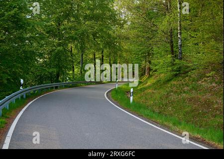 Road, Curvy, Faggio Forest, Spring, Hesselbach, Oberzent, Odenwald, Assia, Germania Foto Stock