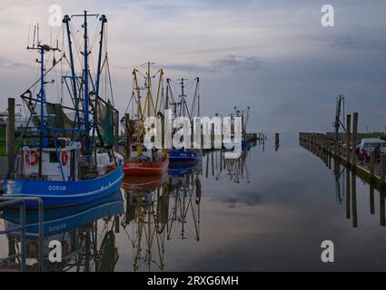 Atmosfera serale nel porto di Dorum-Neufeld Foto Stock