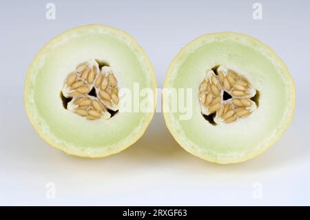 Melone di zucchero (Cucumis melo), melone di miele, interno, studio Foto Stock