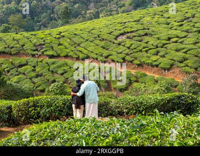 Coppia indiana nella piantagione di Chithirapuram vicino a Munnar, Kerala, India Foto Stock