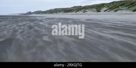 Spiaggia di sabbia vicino a Quend-Plage, somme, Haut-de-France, Francia Foto Stock