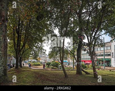 Gli alberi sopravvissuti all'Armada Way di Plymouth dopo il fiasco che abbatté la marcia. Ora la città attende i nuovi piani promessi e la consultazione sul futuro di Foto Stock