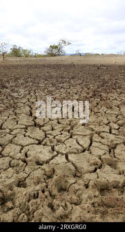 Curaca, bahia, brasile - 17 settembre 2023: Vista della terra incrinata in una diga asciutta a causa della siccità nelle terre retrostanti di Bahia Foto Stock