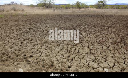 Curaca, bahia, brasile - 17 settembre 2023: Vista della terra incrinata in una diga asciutta a causa della siccità nelle terre retrostanti di Bahia Foto Stock