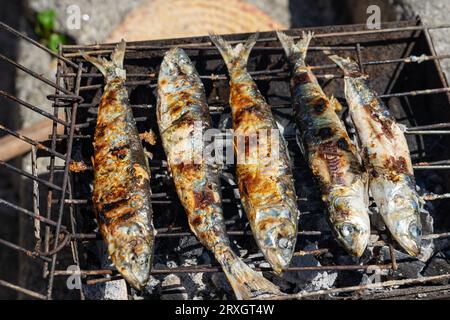 Grigliate di sardine all'aperto sulla strada di Porto Portogallo. Foto Stock