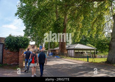 Marlow, Regno Unito. 25 settembre 2023. Uno splendido London Plane Tree a Marlow, Buckinghamshire, è da abbattere. L'albero, che si ritiene abbia circa 280 anni, si trova nel parcheggio di Pound Lane vicino all'Higginson Park. Parte del tronco dell'albero è stato recentemente acceso e nella cavità dell'albero è stato trovato anche un fungo a staffa. A seguito di un'indagine del Consiglio del Buckinghamshire, hanno deciso di cadere l'albero molto amato. La strada accanto ad essa rimane chiusa, così come gran parte del parcheggio. Credito: Maureen McLean/Alamy Live News Foto Stock