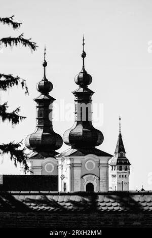 Vista dall'alto in bianco e nero delle torri della chiesa di San Giovanni Battista in primo piano e della torre dell'edificio della prefettura nella facciata posteriore Foto Stock