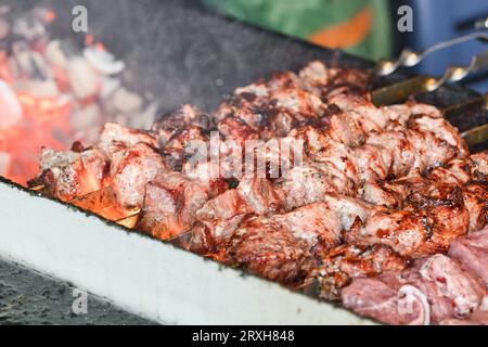 Spezia il kebab sugli spiedini nel braciere. Carne fresca e rugosa per grigliate al barbecue all'aperto. Picnic nella natura - barbecue. Foto Stock