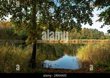 Lago in una giornata autunnale, riflessi specchi nell'acqua, lunga esposizione Foto Stock