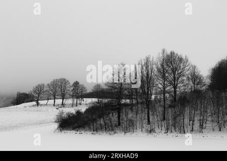 Paesaggio invernale, con alberi e colline ricoperte di neve, sotto un cielo lungoso e nuvoloso Foto Stock