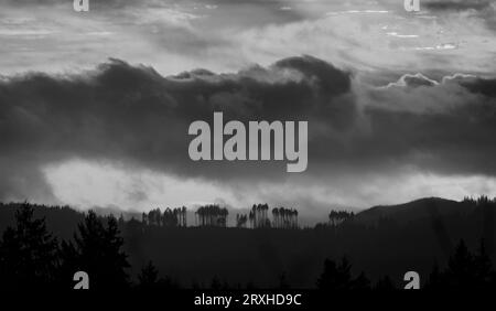 Monocromatico di un profilo delle Black Hills durante un tramonto spettacolare sulla Capitol State Forest vicino a Olympia, Washington, Stati Uniti Foto Stock