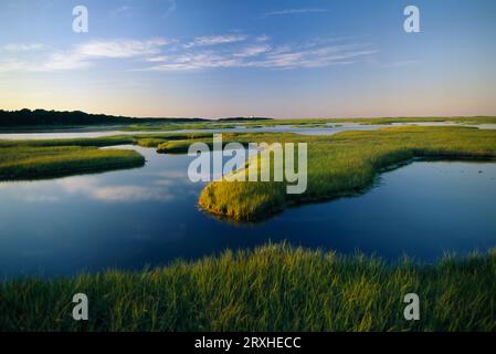 Le distese di marea di Nauset Marsh sulla costa orientale degli Stati Uniti; Cape Cod, Massachusetts, Stati Uniti d'America Foto Stock