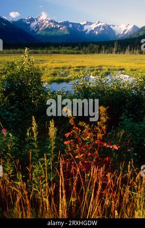 Paesaggio autunnale lungo il Turnagain Arm vicino a Girdwood, Alaska Foto Stock