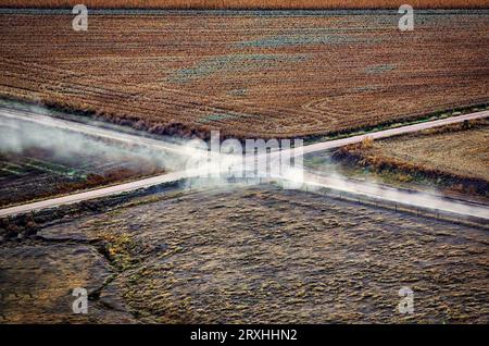 Un campo di grano secco tra due lotti di alimentazione; Imperial, Nebraska. Foto Stock