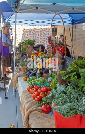 Detroit, Michigan - l'East Warren Fest presentava cibo, musica e artigianato nella ricostruzione dell'East English Village e dei quartieri di Morningside. Foto Stock