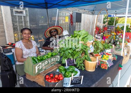 Detroit, Michigan - l'East Warren Fest presentava cibo, musica e artigianato nella ricostruzione dell'East English Village e dei quartieri di Morningside. Foto Stock
