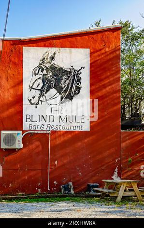 Il bar e ristorante Blind Mule presenta un murale di un mulo sul lato dell'edificio, 23 settembre 2023, a Mobile, Alabama. Foto Stock