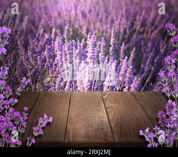 Ponte in legno tra un fiorente campo di lavanda. Spazio per il testo Foto Stock