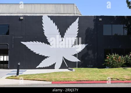 SANTA ANA, CALIFORNIA - 23 SETTEMBRE 2023: Logo marijuana Leaf sul lato del Dispensary Spot Cannabis. Foto Stock