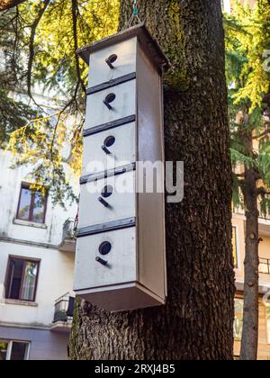 Birdhouse a più livelli. Case per uccelli su un grande albero. Case per uccelli dal design insolito nel parco. Prendersi cura degli uccelli. Luogo di nidificazione. Cose fatte in casa. Foto Stock