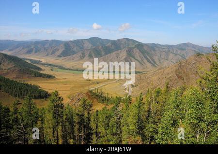 Una vista dall'alto attraverso le cime di alti pini su una pittoresca strada di montagna con una tortuosa strada asfaltata. Passo Chike-Taman, Altai, Siberia, Russia. Foto Stock