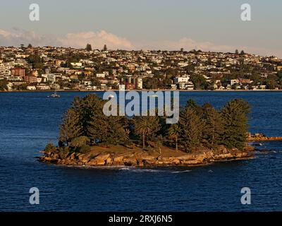 Sydney Australia / Shark Island è una piccola isola situata nel porto di Sydney. Il sobborgo di Vaucluse può essere visto sullo sfondo. Foto Stock