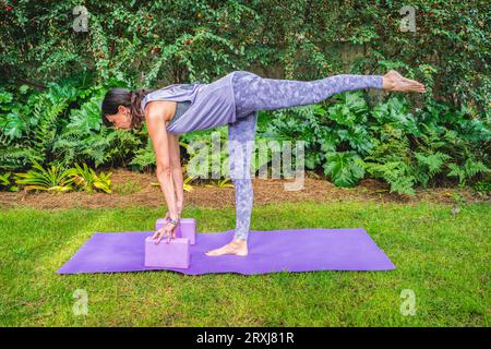 Donna in forma con abbigliamento sportivo pratica la posa yoga utilizzando un blocco all'aperto. Yoga con mattoni. Foto Stock