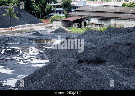 Manichino indonesiano al carbone a vapore in campi aperti, foto del magazzino del carbone Foto Stock