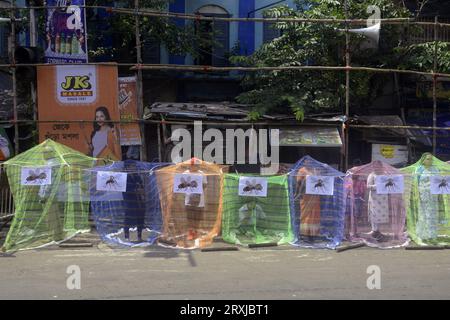 Non esclusiva: 25 settembre 2023, Calcutta, India: Gli attivisti del Congresso stanno all'interno della zanzariera durante la protesta contro il crescente numero di Dengue CA Foto Stock