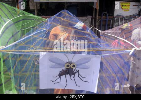 Non esclusiva: 25 settembre 2023, Calcutta, India: Gli attivisti del Congresso stanno all'interno della zanzariera durante la protesta contro il crescente numero di Dengue CA Foto Stock