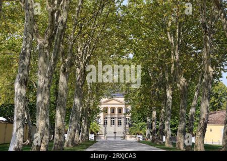 Margaux nel Médoc, il vigneto più famoso del mondo. Vite, vigneto, uva, vino rosso e turismo. Vigneti e vigneti di Bordeaux. Marg Foto Stock