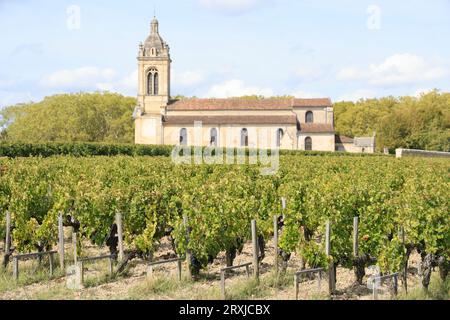 Margaux nel Médoc, il vigneto più famoso del mondo. Vite, vigneto, uva, vino rosso e turismo. Vigneti e vigneti di Bordeaux. Marg Foto Stock